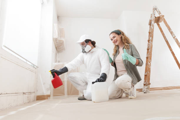 Best Attic Mold Removal  in Mapleton, ND